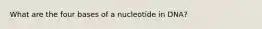 What are the four bases of a nucleotide in DNA?