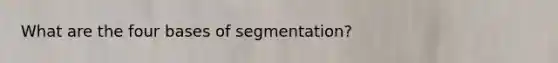 What are the four bases of segmentation?