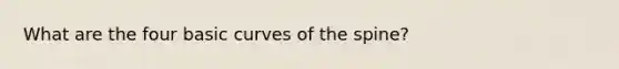 What are the four basic curves of the spine?