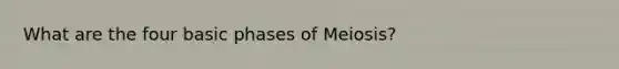 What are the four basic phases of Meiosis?