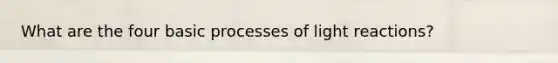 What are the four basic processes of light reactions?