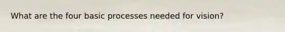 What are the four basic processes needed for vision?