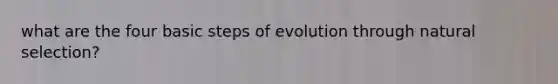 what are the four basic steps of evolution through natural selection?