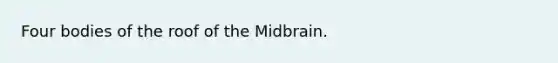 Four bodies of the roof of the Midbrain.