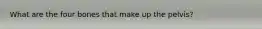 What are the four bones that make up the pelvis?
