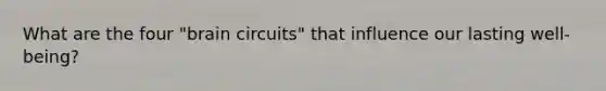 What are the four "brain circuits" that influence our lasting well-being?