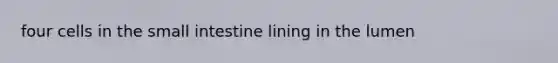 four cells in the small intestine lining in the lumen