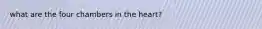 what are the four chambers in the heart?