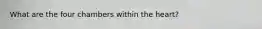 What are the four chambers within the heart?