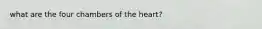 what are the four chambers of the heart?