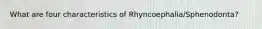 What are four characteristics of Rhyncoephalia/Sphenodonta?