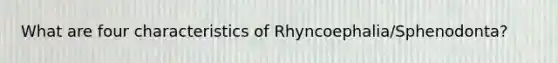 What are four characteristics of Rhyncoephalia/Sphenodonta?