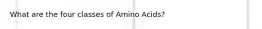 What are the four classes of Amino Acids?