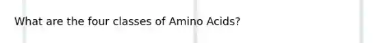 What are the four classes of Amino Acids?