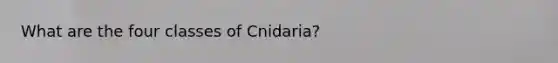 What are the four classes of Cnidaria?