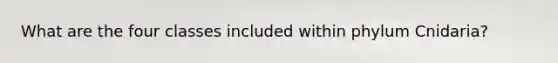 What are the four classes included within phylum Cnidaria?