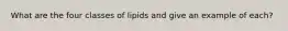 What are the four classes of lipids and give an example of each?