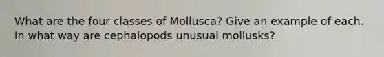 What are the four classes of Mollusca? Give an example of each. In what way are cephalopods unusual mollusks?