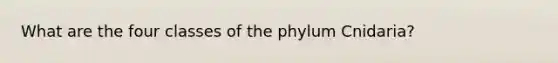 What are the four classes of the phylum Cnidaria?