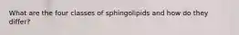 What are the four classes of sphingolipids and how do they differ?