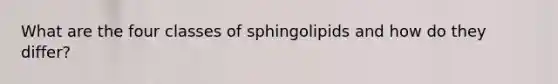 What are the four classes of sphingolipids and how do they differ?