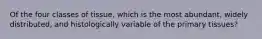 Of the four classes of tissue, which is the most abundant, widely distributed, and histologically variable of the primary tissues?
