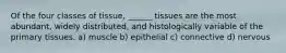 Of the four classes of tissue, ______ tissues are the most abundant, widely distributed, and histologically variable of the primary tissues. a) muscle b) epithelial c) connective d) nervous