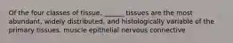 Of the four classes of tissue, ______ tissues are the most abundant, widely distributed, and histologically variable of the primary tissues. muscle epithelial nervous connective