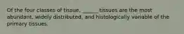 Of the four classes of tissue, ______ tissues are the most abundant, widely distributed, and histologically variable of the primary tissues.