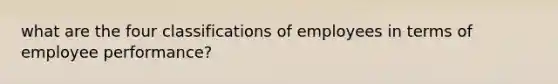 what are the four classifications of employees in terms of employee performance?