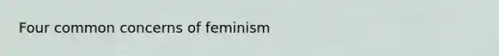 Four common concerns of feminism