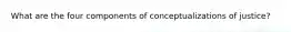 What are the four components of conceptualizations of justice?