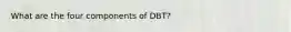 What are the four components of DBT?