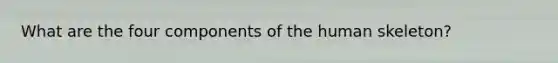 What are the four components of the human skeleton?