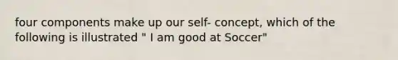 four components make up our self- concept, which of the following is illustrated " I am good at Soccer"