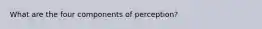 What are the four components of perception?