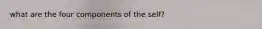 what are the four components of the self?