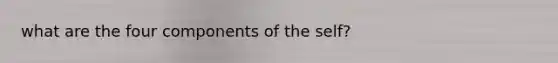 what are the four components of the self?