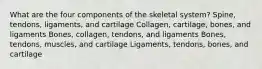 What are the four components of the skeletal system? Spine, tendons, ligaments, and cartilage Collagen, cartilage, bones, and ligaments Bones, collagen, tendons, and ligaments Bones, tendons, muscles, and cartilage Ligaments, tendons, bones, and cartilage