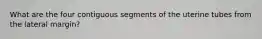 What are the four contiguous segments of the uterine tubes from the lateral margin?