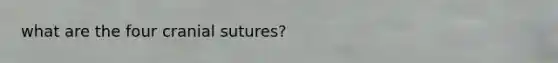 what are the four cranial sutures?