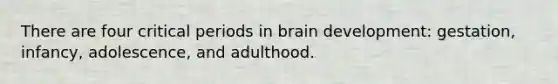 There are four critical periods in brain development: gestation, infancy, adolescence, and adulthood.