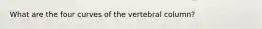 What are the four curves of the vertebral column?