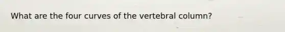 What are the four curves of the vertebral column?