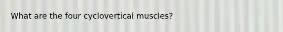 What are the four cyclovertical muscles?