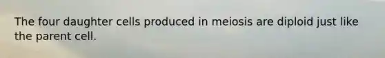 The four daughter cells produced in meiosis are diploid just like the parent cell.