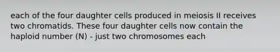 each of the four daughter cells produced in meiosis II receives two chromatids. These four daughter cells now contain the haploid number (N) - just two chromosomes each