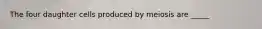 The four daughter cells produced by meiosis are _____