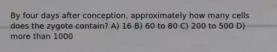 By four days after conception, approximately how many cells does the zygote contain? A) 16 B) 60 to 80 C) 200 to 500 D) more than 1000