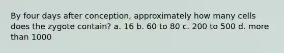 By four days after conception, approximately how many cells does the zygote contain? a. 16 b. 60 to 80 c. 200 to 500 d. more than 1000